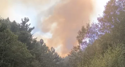 Afyonkarahisar’da orman yangını devam ediyor