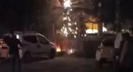 Ağacın dibindeki elektrik kablolarından çıkan kıvılcım korkuttu
