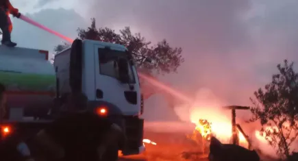 Ayvalık'ta çıkan yangın korkuttu