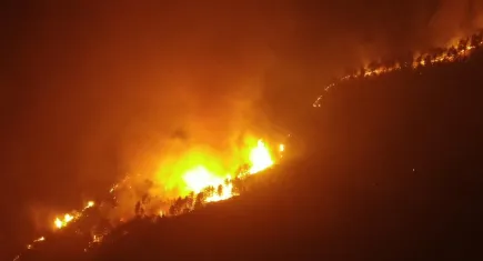 Çankırı'daki yangın 6 saattir sürüyor: Kuvvetli rüzgar müdahaleyi zorlaştırıyor