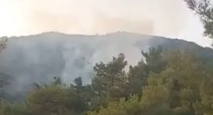 Çine’de orman yangını
