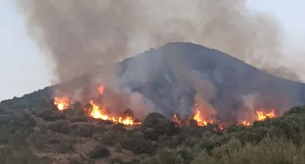 İzmir haber: Orman yangınları ile ilgili 6 kişi tutuklandı