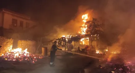 Artvin'de 3 ev, 3 ahır ve samanlık yanarak kül oldu!