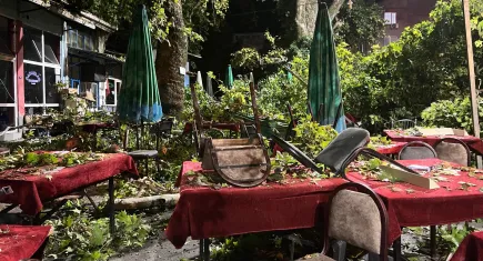 İzmir'de çınar ağacının dalı vatandaşların üzerine devrildi: Yaralılar var