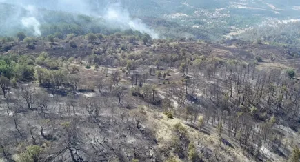 Taslak'tan Büyükşehir Vekili Yıldır'a orman yangını çıkışı