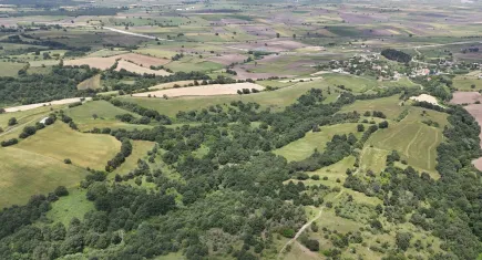 Uzmanı açıkladı: 2025'in en trend yatırım aracı ne olacak?