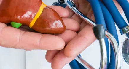 Hepatit, Siroz ve diyabet karaciğer kanseri riskini artırıyor