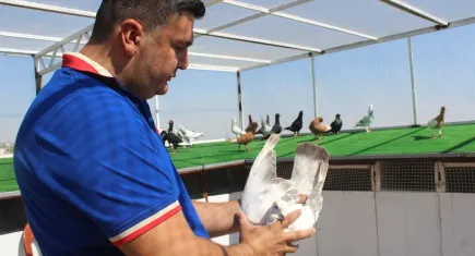 Memurluğu bıraktı, güvercin satmaya başladı!