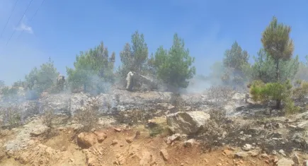 Mersin'de 2 kişi alkol alıp ormanı yaktı