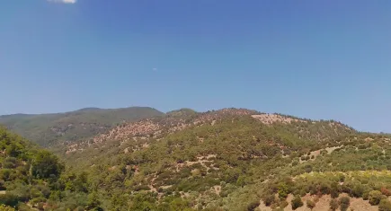 Aydın güne patlama sesleriyle uyandı