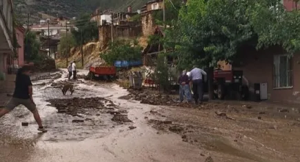 Aydın sele teslim oldu