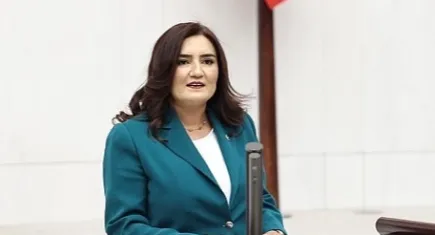 Sevda Erdan Kılıç: Eğitim, kiracı arayan bir sistemde kayboluyor