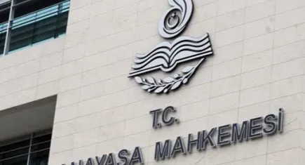 AYM, sokak hayvanları ile ilgili kanunu inceleyecek