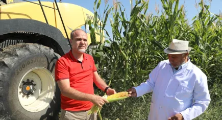 NÖHÜ'de mısır hasadı zamanı