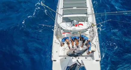 StafuPro Tuna Masters TEOS 2024 Balıkçılık Turnuvası 9. kez kapılarını açacak