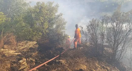 Antalya'da yangın!