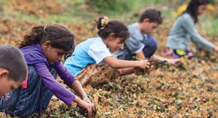 İSİG Meclisi: Çocuk işçilik yasaklansın… Mesleki eğitim yeniden yapılandırılsın!