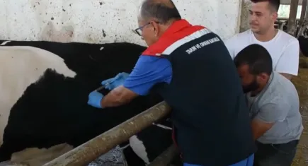 Aydın'da 47 bin doz ücretsiz aşı