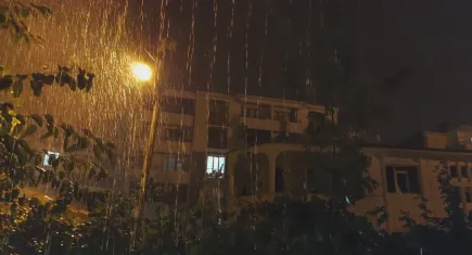 Van'da şiddetli yağış etkili oldu