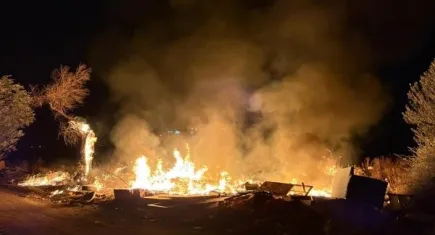 Balıkesir'de zeytinlik alanda yangın