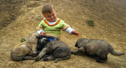 HAYTAP yarın ki mitinge hazır: Bu davaya inanıyoruz!