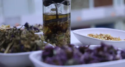 Bağışıklık sisteminizi güçlendirmenin yolu: Amber çiçeği çayı