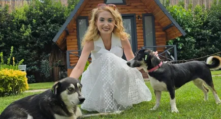 Sokak köpekleri terapi eğitimi ile hastalara umut oluyor
