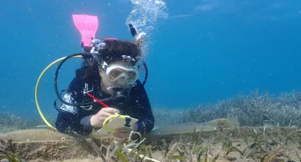 8 kişilik dalış ekibi çektikleri su altı fotoğraflarıyla fark oluşturdu