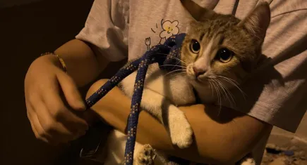 Kuyuya düşen kedi böyle kurtarıldı