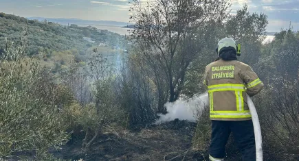 Balıkesir'de orman yangını