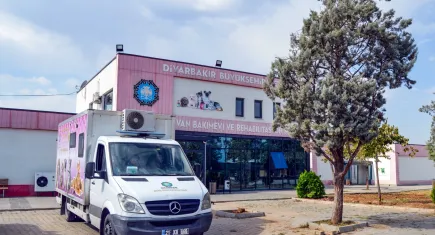 Diyarbakır'da köpekler kısırlaştırıldı
