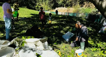 Şırnak'ta ceviz hasadı