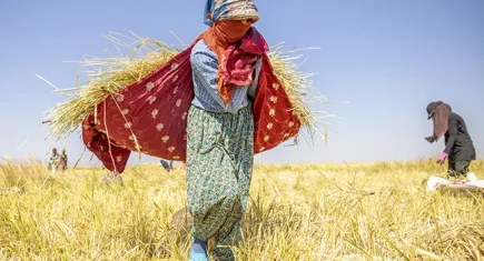 Dünya Kadın Çiftçiler Günü Selçuk’ta Toprağın Ritmi etkinliği ile kutlanacak