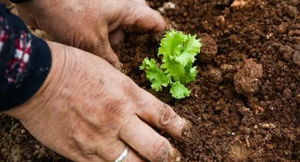 Urla’da Dünya Kadın Çiftçiler Zirvesi başlıyor