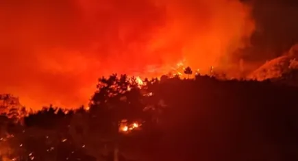 Muğla'da yangın: Evler alevlere teslim oldu!
