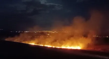 Siirt'te anız yangını: Müdahale devam ediyor