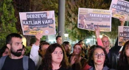 Hayvanseverlerden kampanya: Gebze Belediyesi kedi ve köpekleri zehirleyip çöpe atmanın hesabını vermeli!