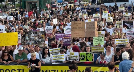 Yaşam İçin Yasa İnisiyatifi: Her gün binlerce çocuk istismara, tacize ve şiddete uğruyor!