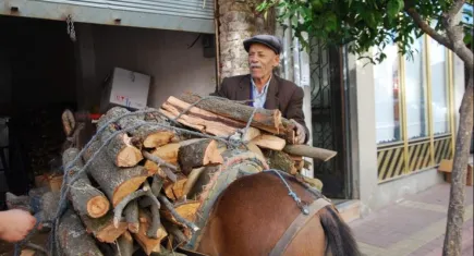 Aydın'da kış hazırlığı