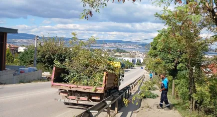 Kocaeli’de ağaçlara sonbahar bakımı yapılıyor