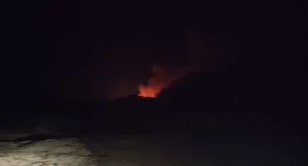 Muğla'da orman yangını!