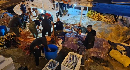 Çanakkale'de balıkçıların yüzü gülüyor