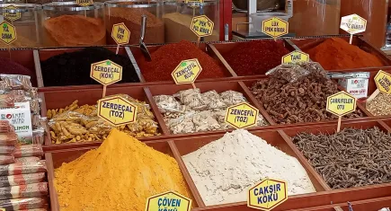 Bitkisel ürünlerin mevsim geçişlerinde bağışıklığı güçlendirmeye etkisi