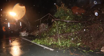 Rize’de heyelan: Karadeniz Sahil Yolu trafiğe kapatıldı