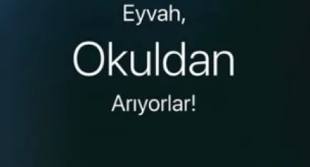 Ebeveynler için bir rehber: Eyvah Okuldan Arıyorlar