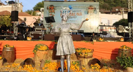 Gümüldür Özdere Mandalina Festivali’nde bu yıl çocuklar yarışacak
