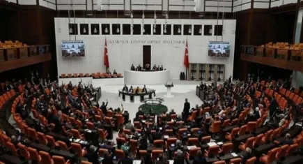 Kadına yönelik şiddet komisyonu üye seçimi kararı Resmi Gazete’de