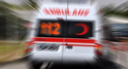 Alzheimer hastası dehşet saçtı: Karısını odunla vurarak öldürdü