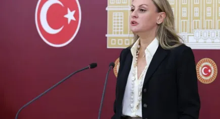 CHP’li Ösen, ‘incir’ krizini meclise taşıdı