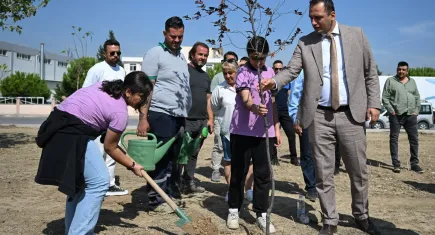 Bornova'da yanan yerler yeşillendiriliyor